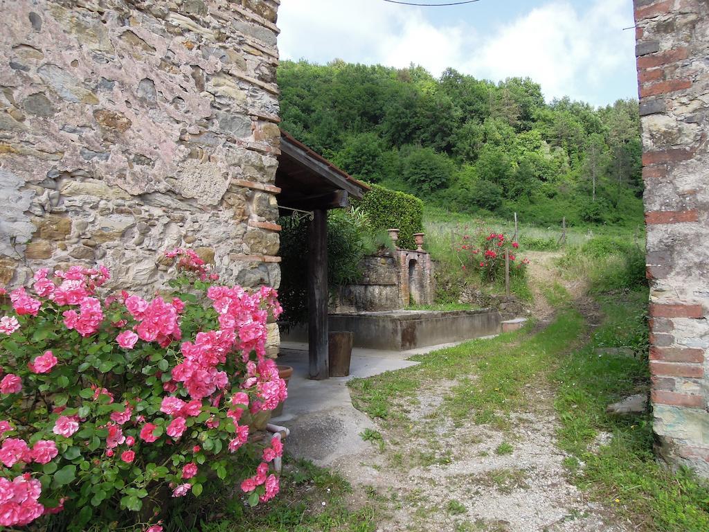Agriturismo Le Murelle Lucca Exteriér fotografie