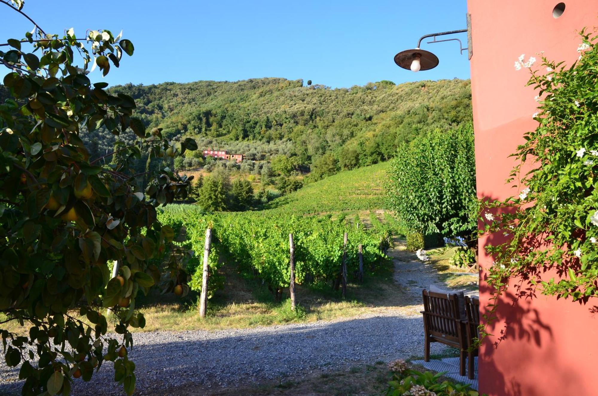 Agriturismo Le Murelle Lucca Exteriér fotografie