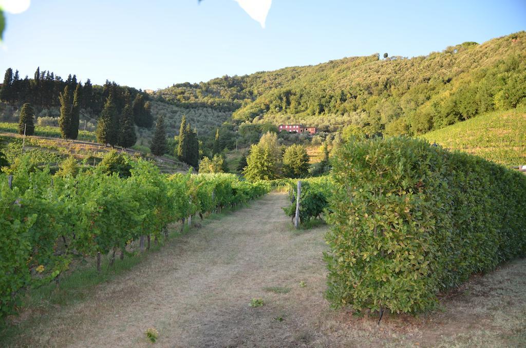 Agriturismo Le Murelle Lucca Exteriér fotografie
